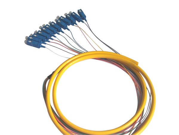 SK 12 core bundle